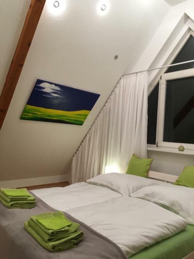 Ferienimspessart Og Apartment Bad Soden-Salmunster Bagian luar foto