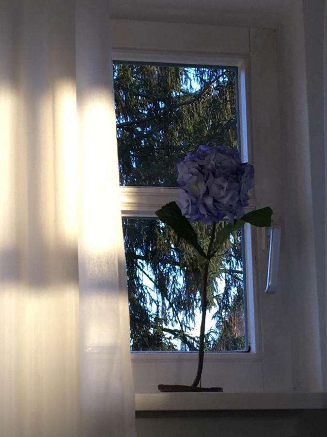 Ferienimspessart Og Apartment Bad Soden-Salmunster Bagian luar foto